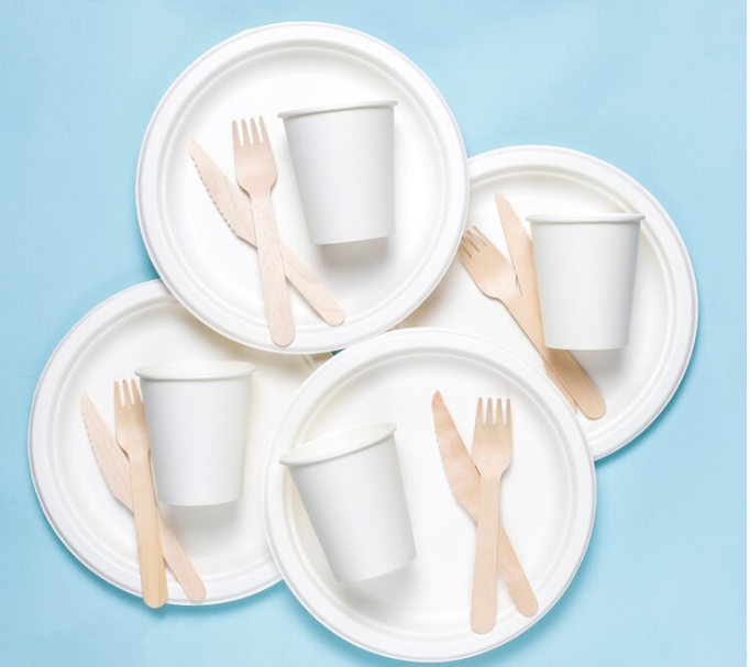 Les assiettes en bagasse sont-elles résistantes aux graisses et aux liquides ?