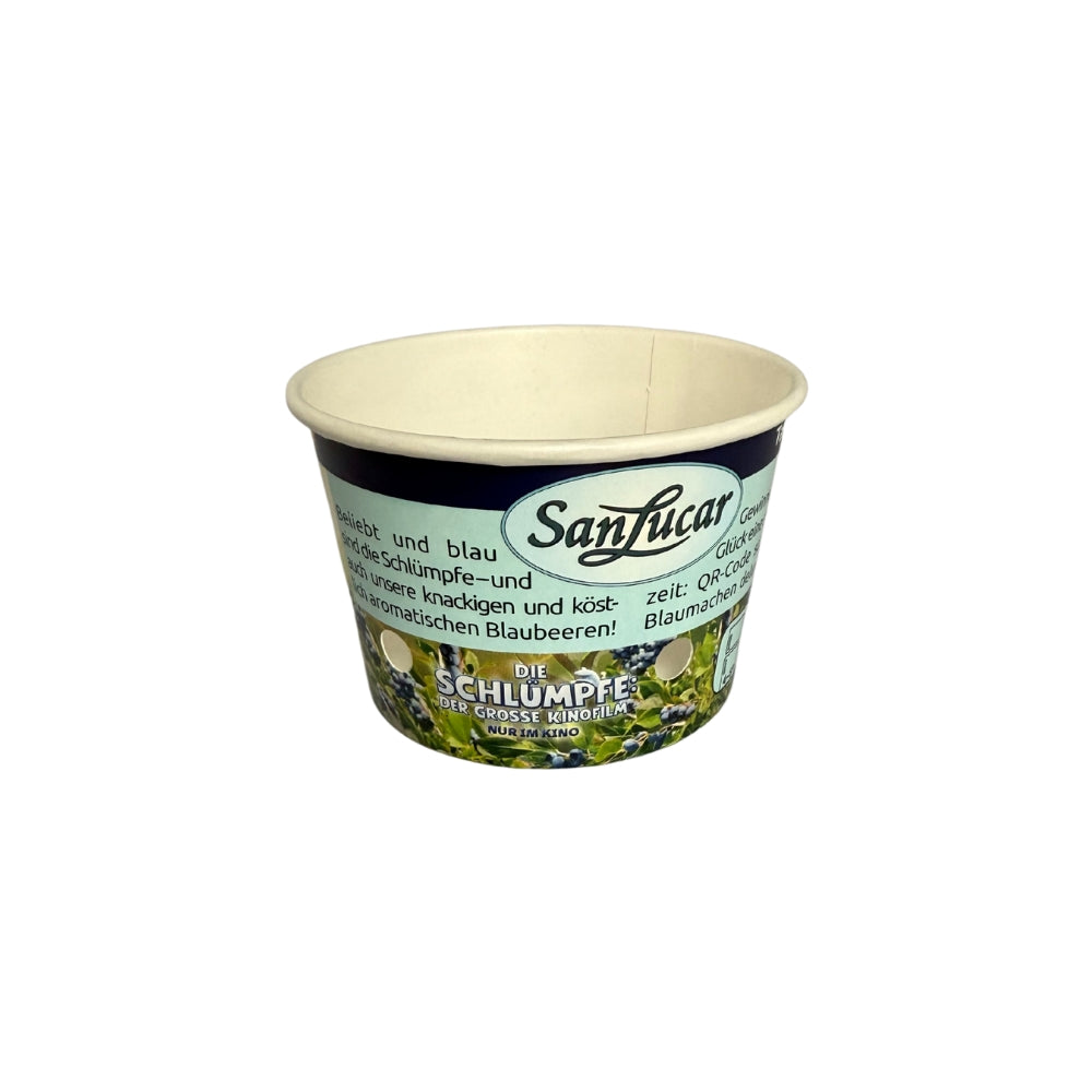 Vasetto di cartone personalizzato da 250 ml